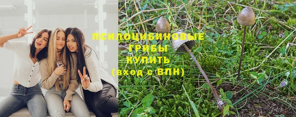 не бодяженный Армянск