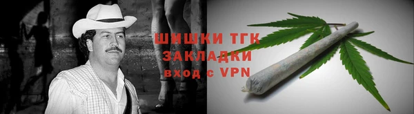 шишки Аркадак