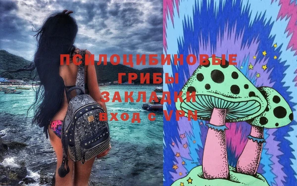 шишки Аркадак