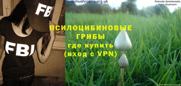 меф Белокуриха