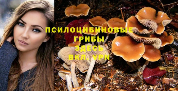 шишки Аркадак