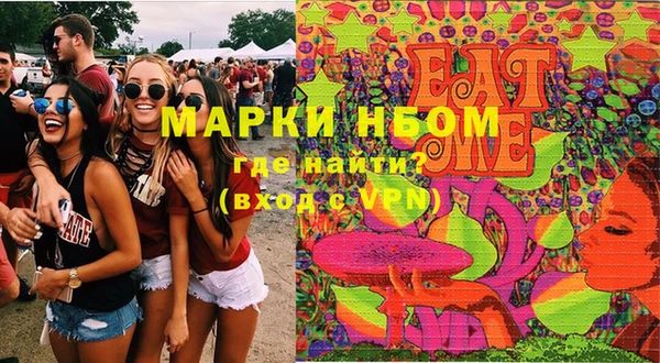 шишки Аркадак