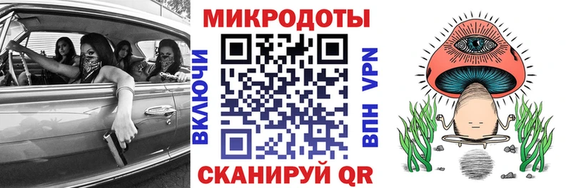 ссылка на мегу ССЫЛКА  сколько стоит  Колпашево  Галлюциногенные грибы Magic Shrooms 